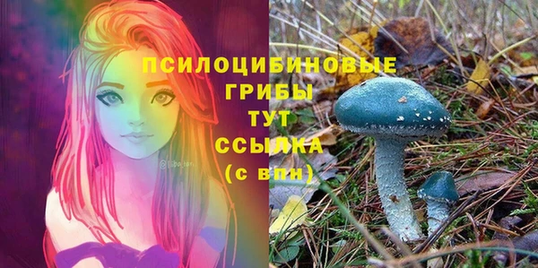 МДМА Каменногорск