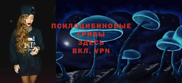 гашик Каменск-Шахтинский