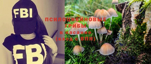мяу мяу кристалл Каменка