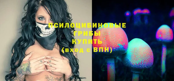 гашик Каменск-Шахтинский